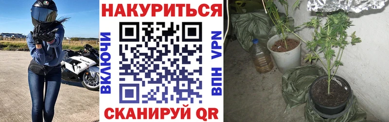Бошки марихуана VHQ  кракен ССЫЛКА  даркнет состав  Арамиль 